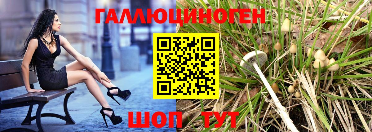купить закладку  Псилоцибиновые грибы мицелий  Вход с VPN  Славянск-на-Кубани 